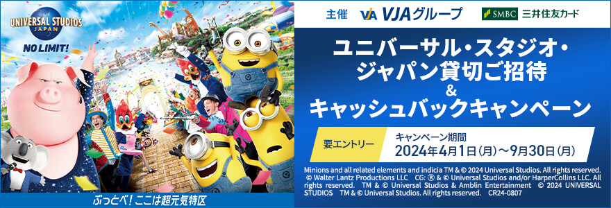 ユニバーサルスタジオジャパン フリーデイトパス2枚 有効期限2024.12  