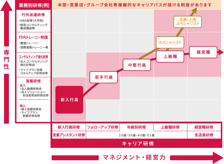 キャリアパス